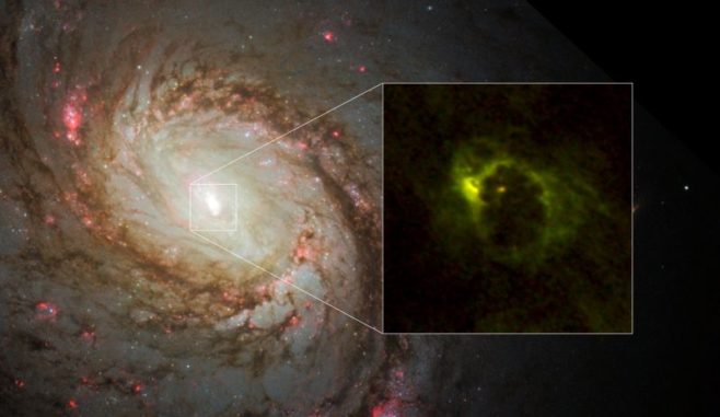 Die Zentralregion der Spiralgalaxie M77. Das Hubble-Teleskop fotografierte die Verteilung der Sterne. ALMA enthüllte die Verteilung des Gases direkt im Zentrum der Galaxie und fand eine hufeisenförmige Struktur mit einem Radius von 700 Lichtjahren und eine zentrale, kompakte Komponente mit 20 Lichtjahren Radius. Letztere ist der Gastorus um den aktiven galaktischen Kern. Rot markiert sind Emissionen von Aldehydionen (HCO+) und Grün kennzeichnet Emissionen von Cyanwasserstoff. (Credit: ALMA (ESO / NAOJ / NRAO), Imanishi et al., NASA / ESA Hubble Space Telescope and A. van der Hoeven)