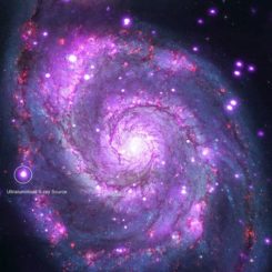Ein Bild der Whirlpool-Galaxie M51, basierend auf Röntgendaten von Chandra (violett) und optischen Daten von Hubble (rot, grün, blau). Die Position der ultraleuchtkräftigen Röntgenquelle ist markiert. (Credit: NASA / CXC / Caltech / M.Brightman et al.; Optical: NASA / STScI)