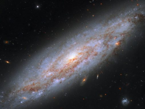Hubble-Aufnahme der Spiralgalaxie NGC 3972. (Credits: NASA, ESA, A. Riess (STScI / JHU))