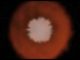 Screenshot aus dem Video, das die Entstehung einer FELT-Supernova zeigt. (Credits: NASA / JPL-Caltech)