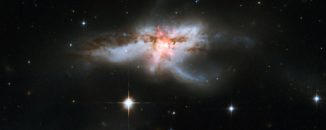 Hubble-Aufnahme der Galaxie NGC 6240. (Credits: NASA, ESA, the Hubble Heritage (STScI / AURA)-ESA / Hubble Collaboration, and A. Evans (University of Virginia, Charlottesville / NRAO / Stony Brook University))
