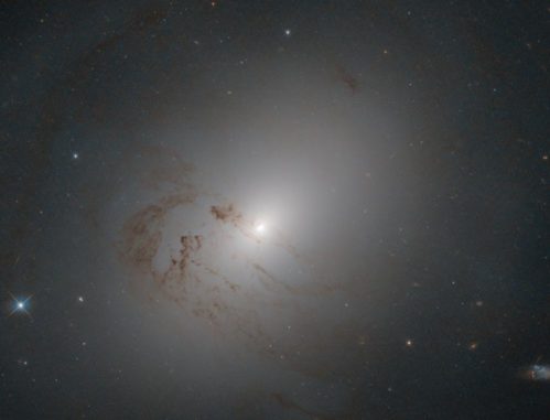 Hubble-Aufnahme der linsenförmigen Galaxie NGC 2655. (Credits: ESA / Hubble & NASA, A. Fillipenko) Hubble-Aufnahme der linsenförmigen Galaxie NGC 2655. (Credits: ESA / Hubble & NASA, A. Fillipenko)