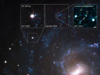Hubbles fotografischer Nachweis des überlebenden Begleiters der Stripped-Envelope Supernova SN 2001ig. (Credits: NASA, ESA, S. Ryder (Australian Astronomical Observatory), and O. Fox (STScI))