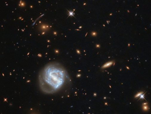 Hubble-Aufnahme des Galaxienhaufens SDSS J0333+0651. (Credit: ESA / Hubble & NASA)