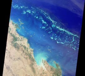 Satellitenaufnahme des Great Barrier Reef. (Credits: NASA / GSFC / LaRC / JPL, MISR Team)