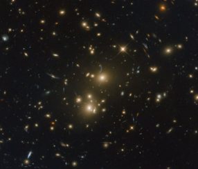 Hubble-Aufnahme des Galaxienhaufens RXC J0232.2-4420. (Credit: ESA / Hubble & NASA, RELICS)