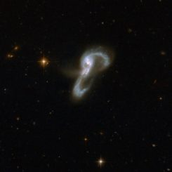 Das kollidierende Galaxienpaar VV705. Die Analyse ergab, dass bei VV705 etwa 75 Prozent der Leuchtkraft von Sternentstehungsprozessen stammen. (Credits: NASA, ESA, the Hubble Heritage Team (STScI / AURA) – ESA / Hubble Collaboration and A. Evans (University of Virginia, Charlottesville / NRAO / Stony Brook University))