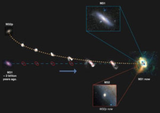 Diese Grafik zeigt die Entstehung der kompakten Galaxie M32 aus der Verschmelzung ihrer Vorgängergalaxie M32p mit der Andromeda-Galaxie. (Credits: Richard D’Souza. Image of M31 courtesy of Wei-Hao Wang. Image of stellar halo of M31 courtesy of AAS / IOP) Diese Grafik zeigt die Entstehung der kompakten Galaxie M32 aus der Verschmelzung ihrer Vorgängergalaxie M32p mit der Andromeda-Galaxie. (Credits: Richard D’Souza. Image of M31 courtesy of Wei-Hao Wang. Image of stellar halo of M31 courtesy of AAS / IOP)