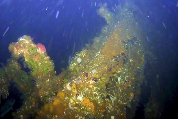 Das gesunkene Wrack des Achterschiffs der USS Abner Read vor der Insel Kiska. (Credits: Scripps Institution of Oceanography at UCSan Diego)