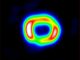 Screenshot der Zeitraffer-Animation, die die Expansion des Supernova-Überrests 1987A zeigt. (Credits: Yvette Cendes, Dunlap Institute for Astronomy & Astrophysics, University of Toronto)