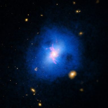 Ein Bild der Galaxie Abell 2597, basierend auf Röntgendaten (blau), Emissionen der Wasserstofflinie (rot) und optischen Daten (gelb). (Credits: X-ray: NASA / CXC / Michigan State Univ / G.Voit et al; Optical: NASA / STScI & DSS; H-alpha: Carnegie Obs. / Magellan / W.Baade Telescope / U.Maryland / M. McDonald) Ein Bild der Galaxie Abell 2597, basierend auf Röntgendaten (blau), Emissionen der Wasserstofflinie (rot) und optischen Daten (gelb). (Credits: X-ray: NASA / CXC / Michigan State Univ / G.Voit et al; Optical: NASA / STScI & DSS; H-alpha: Carnegie Obs. / Magellan / W.Baade Telescope / U.Maryland / M. McDonald)