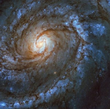 Hubble-Aufnahme der Spiralgalaxie Messier 100. (Credits: NASA, ESA)