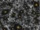 Das Hubble Ultra-Deep Field mit dem "verlorenen" Licht, das durch Verbesserungen der Bildverarbeitungstechniken sichtbar gemacht wurde. (Credits: A. S. Borlaff et al.)