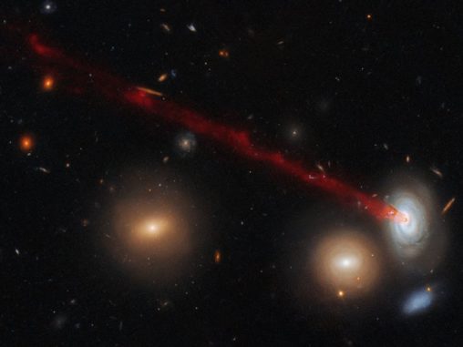 Hubble-Aufnahme des Gasschweifs der Spiralgalaxie D100. (Credits: ESA / Hubble & NASA, Cramer et al.) Hubble-Aufnahme des Gasschweifs der Spiralgalaxie D100. (Credits: ESA / Hubble & NASA, Cramer et al.)
