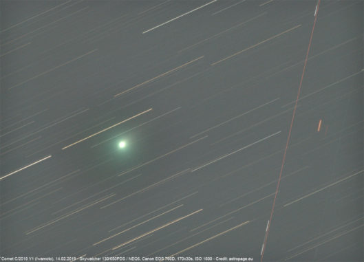Der Komet C/2018 Y1 (Iwamoto) am 14.02.2019. (Credits: astropage.eu)