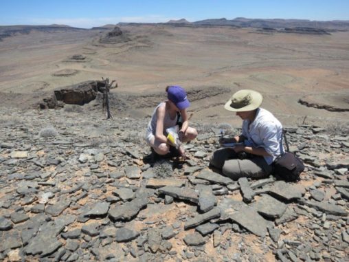 Wissenschaftler bei Feldstudien in Namibia. (Credits: Rachel Cook) Wissenschaftler bei Feldstudien in Namibia. (Credits: Rachel Cook)