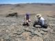 Wissenschaftler bei Feldstudien in Namibia. (Credits: Rachel Cook)