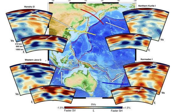 Querschnitte durch den Erdmantel bis in eine Tiefe von 1.400 Kilometern zeigen Veränderungen in seinem Strömungsverhalten, weil alte Meeresböden in das tiefe Erdinnere absinken. (Credits: Ana M. G. Ferreira et al.)