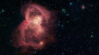 Spitzer-Aufnahme der Sternentstehungsregion W40. (Credits: NASA / JPL-Caltech)
