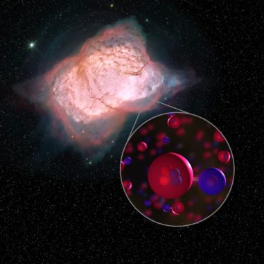 Illustration des planetarischen Nebels NGC 7027 mit Heliumhydrid-Molekülen, eine Kombination aus Helium (rot) und Wasserstoff (blau). (Credits: NASA / SOFIA / L. Proudfit / D. Rutter) Illustration des planetarischen Nebels NGC 7027 mit Heliumhydrid-Molekülen, eine Kombination aus Helium (rot) und Wasserstoff (blau). (Credits: NASA / SOFIA / L. Proudfit / D. Rutter)