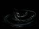 Künstlerische Darstellung zweier aufeinanderzu spiralender Schwarze Löcher kurz vor der Verschmelzung. (Credits: LIGO / Caltech / MIT / Sonoma State (Aurore Simonnet))