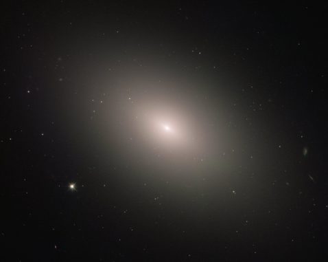 Hubble-Aufnahme der elliptischen Galaxie Messier 59. (Credits: ESA / Hubble & NASA, P. Cote) Hubble-Aufnahme der elliptischen Galaxie Messier 59. (Credits: ESA / Hubble & NASA, P. Cote)