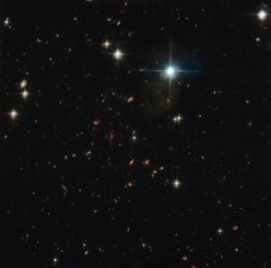 Hubble-Aufnahme des fernen Galaxienhaufens SPT-CL J0615-5746. (Credits: ESA / Hubble & NASA, I. Karachentsev et al., F. High et al.)