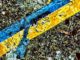 Ein Schnitt des Bohrkerns unter dem Mikroskop. Der blaugelbe Kristall ist Titanaugit, umgeben von verschiedenen Mineralen wie Feldspat, Phlogopit und Apatit. (Credits: Gazel Labs)