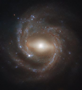 Hubble-Aufnahme der Balkenspiralgalaxie NGC 7773. (Credits: ESA / Hubble & NASA, J. Walsh)