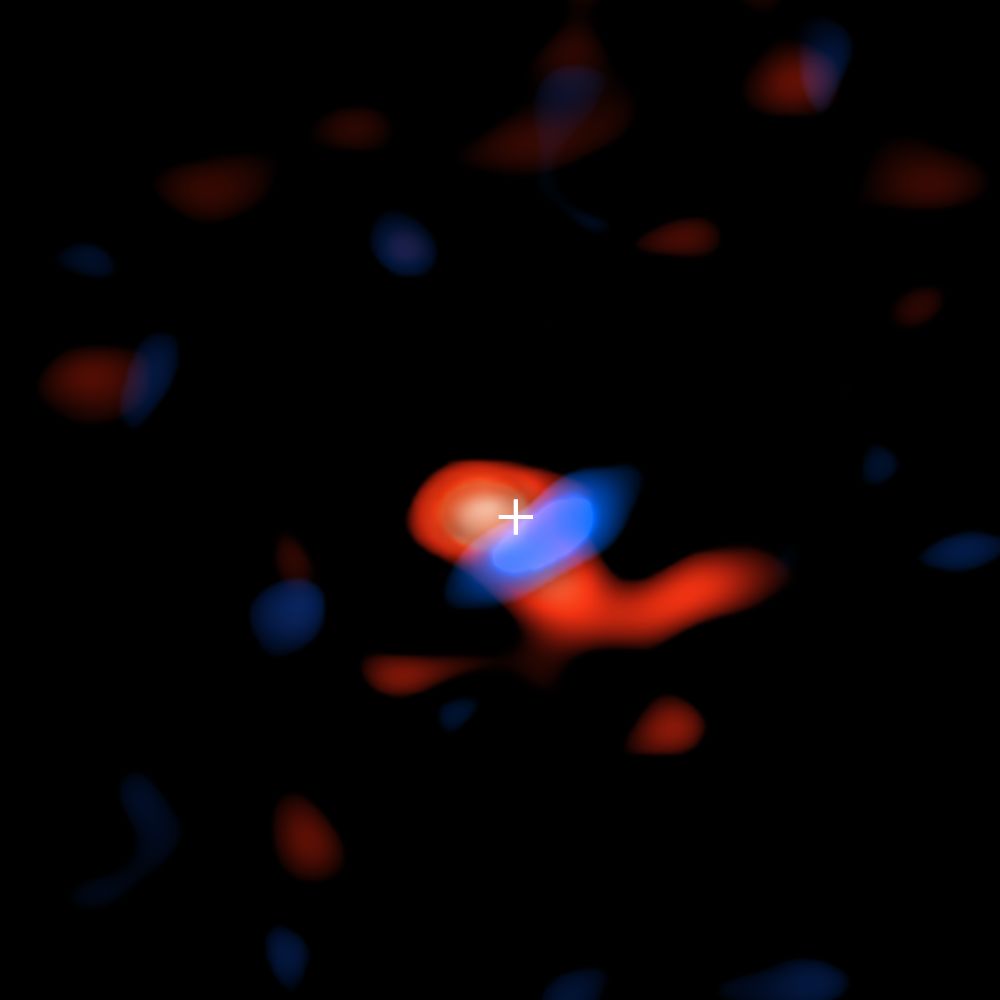 ALMA-Bild der Scheibe aus kühlen Wasserstoffgas um das supermassive Schwarze Loch im Zentrum der Milchstraßen-Galaxie. Der rote Teil entfernt sich von uns, der blaue Teil bewegt sich auf uns zu. Das Kreuz markiert die Position des Schwarzen Lochs Sagittarius A*. (Credit: ALMA (ESO / NAOJ / NRAO), E.M. Murchikova; NRAO / AUI / NSF, S. Dagnello)