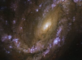Hubble-Aufnahme der Spiralgalaxie NGC 4051. (Credits: ESA / Hubble & NASA, D. Crenshaw and O. Fox)
