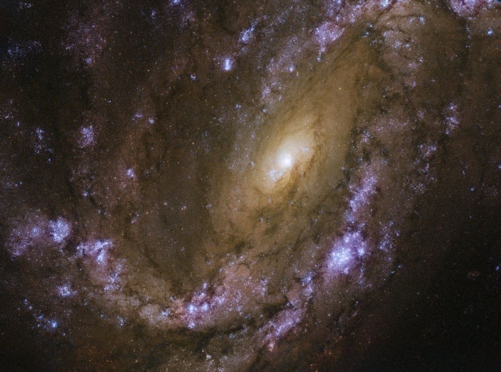 Bildveröffentlichung / Hubble Die Spiralgalaxie NGC 4051 astropage.eu