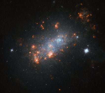 Hubble-Aufnahme der Galaxie NGC 1156. (Credits: ESA / Hubble, NASA, R. Jansen)