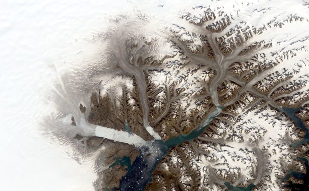 Gletscher im Südosten Grönlands, aufgenommen von Landsat 8 am 12. August 2019. (Credits: NASA / Christopher Shuman)