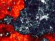 Numerische Simulation von neutralem Wasserstoff (Rot), der in der Reionisierungsepoche von den ersten Sternen (Weiß) langsam aufgeheizt wird. Die Simulation wurde vom Dark-Ages Reionisation And Galaxy Observables from Numerical Simulations (DRAGONS) Programm erstellt. (Credit: Paul Geil and Simon Mutch)