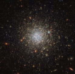 Der Kugelsternhaufen NGC 1466 in den Randbereichen der Großen Magellanschen Wolke, aufgenommen vom Weltraumteleskop Hubble. (Credits: ESA / Hubble & NASA)