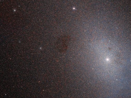 Hubble-Aufnahme der elliptischen Zwerggalaxie M 110. (Credits: ESA / Hubble & NASA, L.Ferrarese et al.)