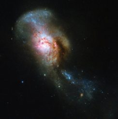 Hubble-Aufnahme des verschmelzenden Galaxienpaares NGC 4194. (Credits: ESA / Hubble & NASA, A. Adamo)