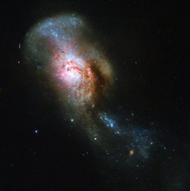 Hubble-Aufnahme des verschmelzenden Galaxienpaares NGC 4194. (Credits: ESA / Hubble & NASA, A. Adamo) Hubble-Aufnahme des verschmelzenden Galaxienpaares NGC 4194. (Credits: ESA / Hubble & NASA, A. Adamo)