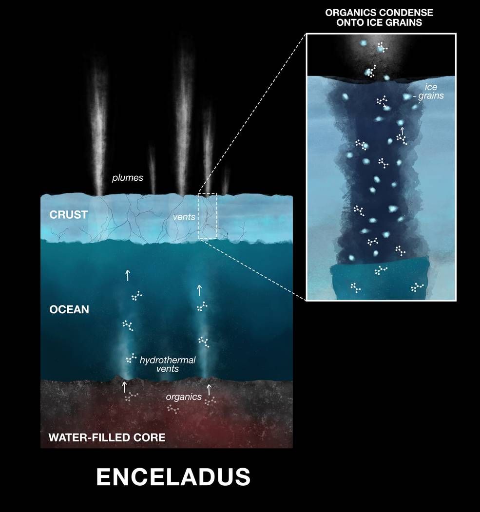 Diese Illustration zeigt den Prozess, wie organische Verbindungen ihren Weg auf die Eisteilchen finden, die durch die Dampf- und Eisfahnen auf dem Saturnmond Enceladus in den Weltraum gelangen. (Credits: NASA / JPL-Caltech)
