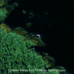 Ein gestrandeter Wal auf einem Satellitenbild. (Credits: Maxar Technologies / BAS)