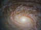 Die Spiralgalaxie NGC 772, aufgenommen vom Weltraumteleskop Hubbe. (Credits: ESA / Hubble & NASA, A. Seth et al.)
