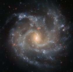 Hubble-Aufnahme der Galaxie NGC 5468. (Credits: ESA / Hubble & NASA, W. Li et al.; Acknowledgements: Judy Schmidt (Geckzilla))