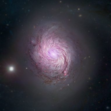 Magnetfelder in der Galaxie M77, basierend auf Daten des SOFIA-Teleskops, des Hubble Space Telescope (optisch), des Nuclear Spectroscopic Array (Röntgenstrahlung) und des Sloan Digital Sky Survey. (Credits: NASA / SOFIA; NASA / JPL-Caltech / Roma Tre Univ.)