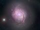 Magnetfelder in der Galaxie M77, basierend auf Daten des SOFIA-Teleskops, des Hubble Space Telescope (optisch), des Nuclear Spectroscopic Array (Röntgenstrahlung) und des Sloan Digital Sky Survey. (Credits: NASA / SOFIA; NASA / JPL-Caltech / Roma Tre Univ.)