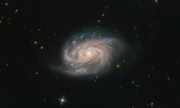 Hubble-Aufnahme der Galaxie NGC 1803. (Credits: ESA / Hubble & NASA, A. Bellini et al.) Hubble-Aufnahme der Galaxie NGC 1803. (Credits: ESA / Hubble & NASA, A. Bellini et al.)