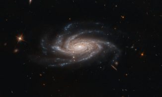 Hubble-Aufnahme der Spiralgalaxie NGC 2008. (Credit: ESA / Hubble & NASA, A. Bellini)