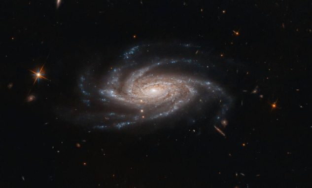 Hubble-Aufnahme der Spiralgalaxie NGC 2008. (Credit: ESA / Hubble & NASA, A. Bellini)