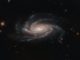 Hubble-Aufnahme der Spiralgalaxie NGC 2008. (Credit: ESA / Hubble & NASA, A. Bellini)