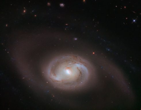 Hubble-Aufnahme der Spiralgalaxie NGC 2273. (Credit: ESA / Hubble & NASA, J. Greene)